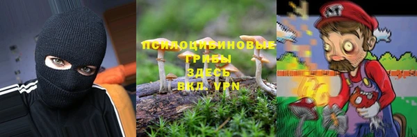 ПСИЛОЦИБИНОВЫЕ ГРИБЫ Абинск