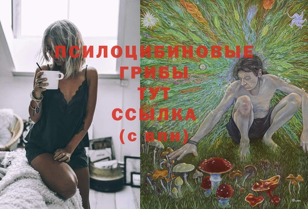 мет Абаза