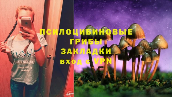 ПСИЛОЦИБИНОВЫЕ ГРИБЫ Абинск